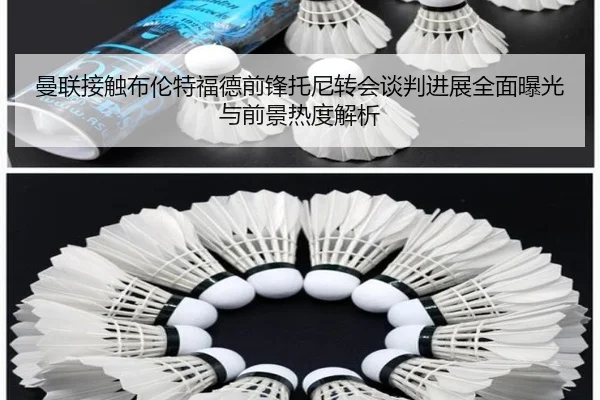 曼联接触布伦特福德前锋托尼转会谈判进展全面曝光与前景热度解析